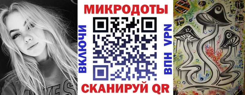 Галлюциногенные грибы Psilocybine cubensis  кракен ссылки  Верея 